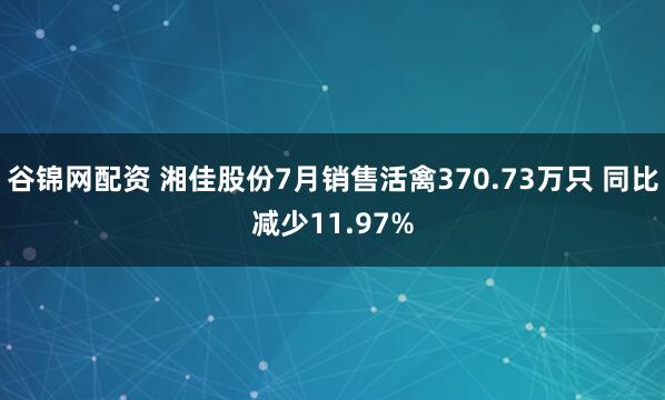 谷锦网配资 湘佳股份7月销售活禽370.73万只 同比减少11.97%