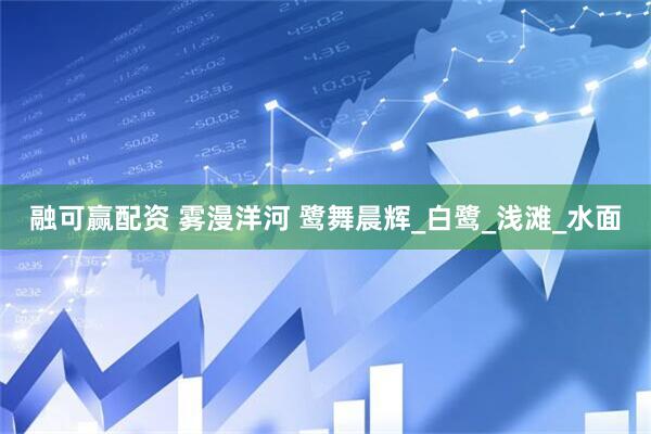 融可赢配资 雾漫洋河 鹭舞晨辉_白鹭_浅滩_水面